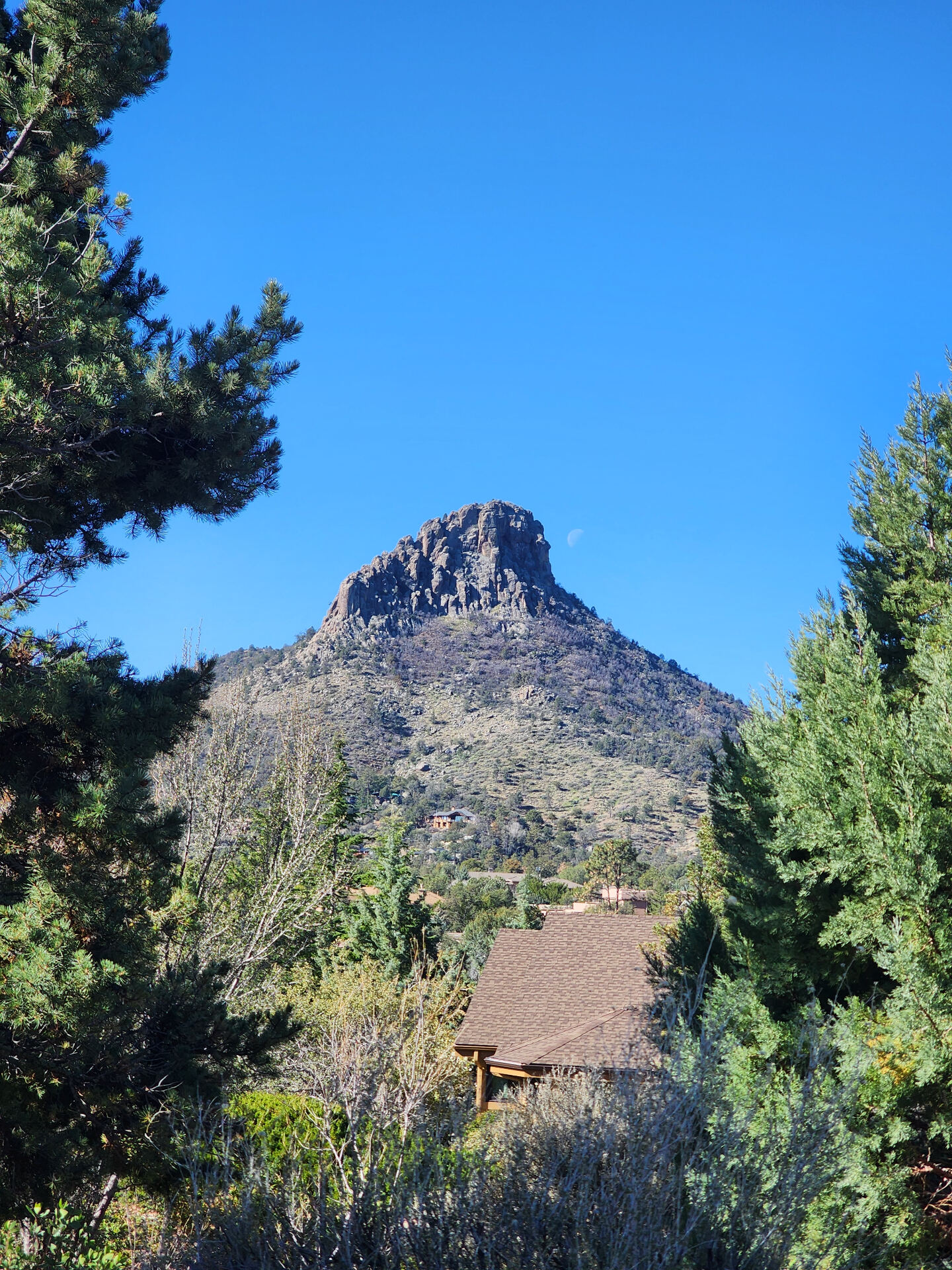 Stone pathway through ponderosa pines and native plantings in Prescott Arizona